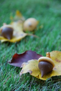 Halloween Party Treat Idea: Nilla Wafer & Hershey Kiss Acorns Acorn Treats for Halloween Party