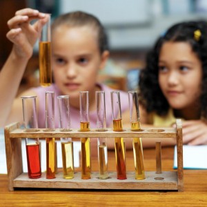 Science Fair