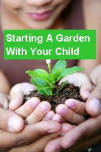 How To Start A Garden With Your Child