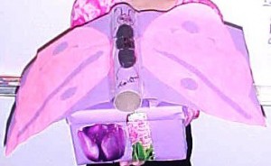 Butterfly Valentine's Day Box