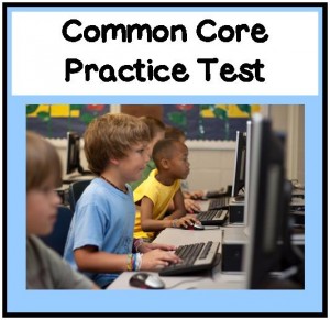 Common Core Practice Test